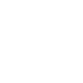 wtt-website-rewrite.pages.dev favicon